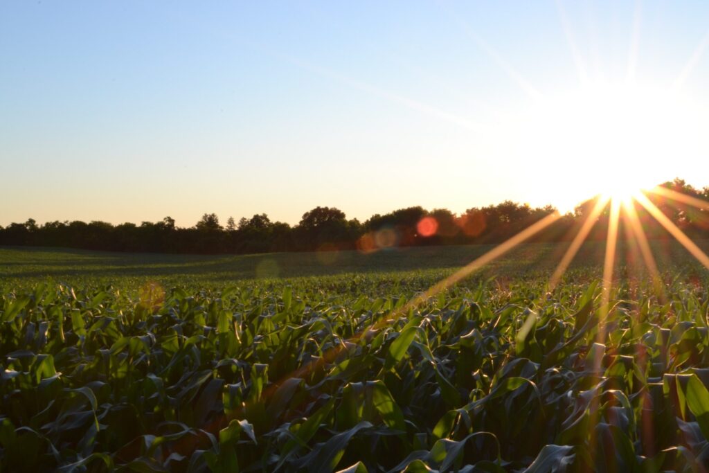 Arva joins USDA Partnerships for Climate-Smart Commodities