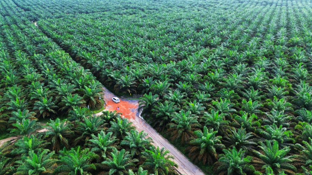 Arva Reaches $100M Milestone for Farmers